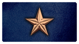 DSC700 430 BZ BL Star Bronze Blue